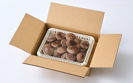 贈答品用椎茸かご盛りセット【配送不可地域：離島】