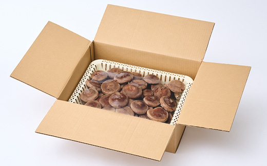 贈答品用椎茸かご盛りセット(大)【配送不可地域：離島】