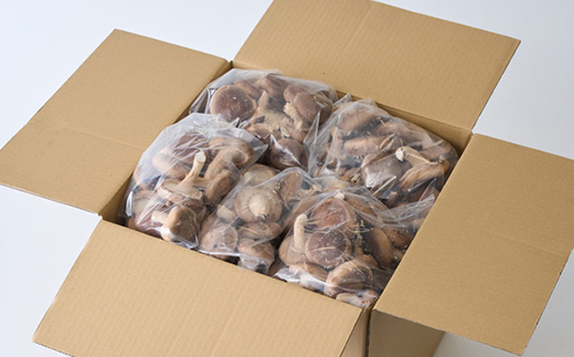 椎茸大量てんこ盛りセット【配送不可地域：離島】