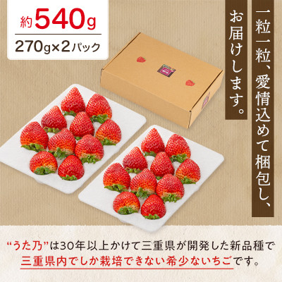 【イオンいなべ農場からお届け!】いちご「うた乃」約270g×2パック【配送不可地域：離島】