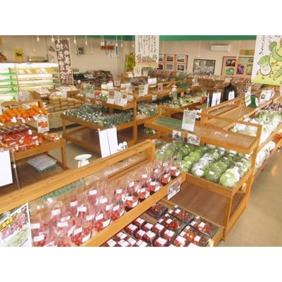 三重県いなべ市の農産物直売所「ふれあいの駅うりぼう」より「旬の新鮮野菜・果物セット」をお届けします!【配送不可地域：離島・北海道・沖縄県】