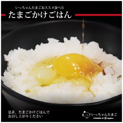 大自然の中で育ったいっちゃんたまご