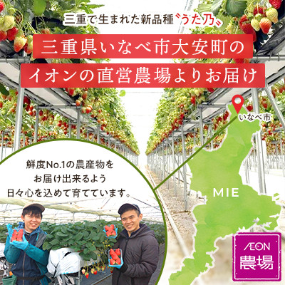 【イオンいなべ農場からお届け!】いちご「うた乃」約270g×2パック【配送不可地域：離島】