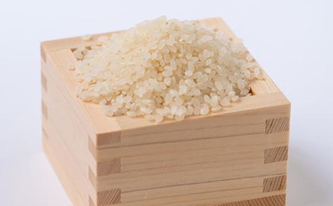 令和7年産　キヌヒカリ 10kg