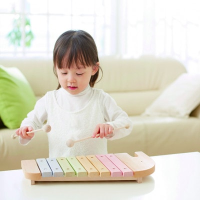 エドインターの知育玩具【エレファントシロフォン】(日本産/木製玩具)