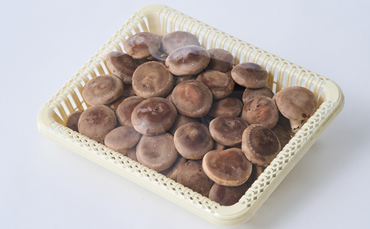 贈答品用椎茸かご盛りセット(大)【配送不可地域：離島】