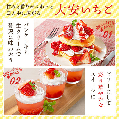 【イオンいなべ農場からお届け!】いちご「うた乃」約270g×2パック【配送不可地域：離島】