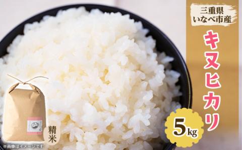 令和7年産　キヌヒカリ 5kg