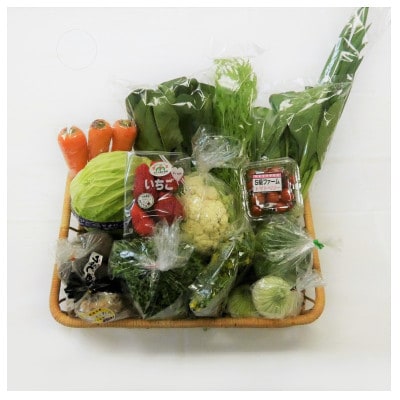 三重県いなべ市の農産物直売所「ふれあいの駅うりぼう」より「旬の新鮮野菜・果物セット」をお届けします!【配送不可地域：離島・北海道・沖縄県】