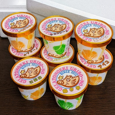 三重県いなべ市の「ジェラートの駅うりぼ～の」より地産地消のジェラート(おまかせ8個入)をお届け!【配送不可地域：離島】