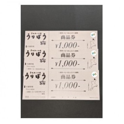 うりぼう商品券 3000円分