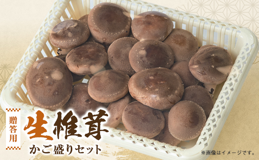 贈答品用椎茸かご盛りセット【配送不可地域：離島】