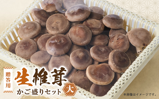 贈答品用椎茸かご盛りセット(大)【配送不可地域：離島】