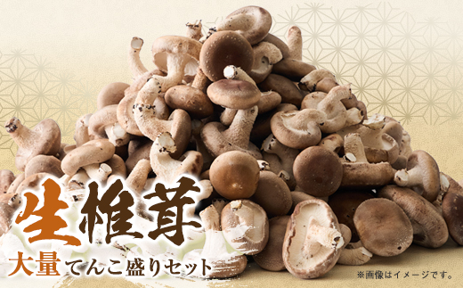 椎茸大量てんこ盛りセット【配送不可地域：離島】