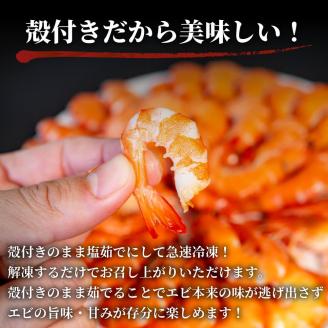 訳あり 有頭ボイルバナメイエビ 500g × 3 (約1.5kg) 有頭えび 加熱済 えび エビ 海老 バナメイエビ バナメイ 人気 冷凍 便利 魚介 海鮮 〔010-143〕