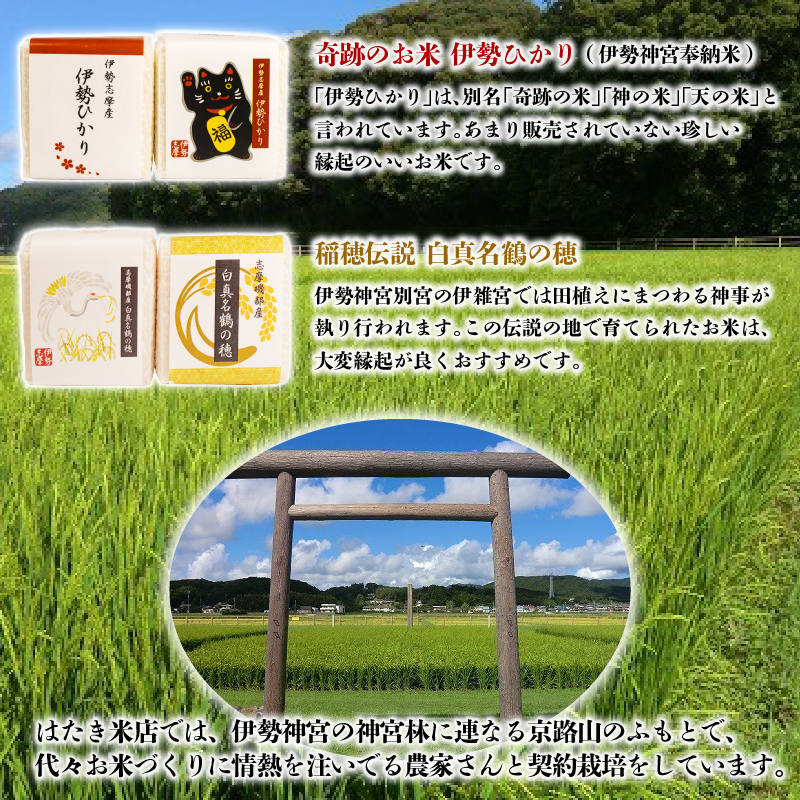 奇跡のお米 伊勢ひかり・穂落伝説 白真名鶴の穂 キューブ米セット / お米 白米 精米 米 おすすめ 贈り物 贈答 プレゼント ギフト お祝 お中元 お歳暮 国産 三重県 志摩市 伊勢 志摩 老舗 伊勢神宮 奉納米 伊勢志摩産