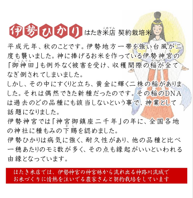 伊勢ひかり 10kg お米 白米 精米 米 おすすめ 国産 朝ごはん 朝食 晩ごはん ご飯 夕食 三重県 志摩市 伊勢 志摩 伊勢奉祝 奇跡のお米 10キロ