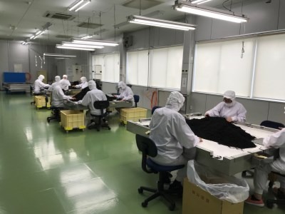 ひじき ご飯 セット 小分け ふりかけ かつお しそ ちりめん 3種類 伊勢 志摩 三重県 国産