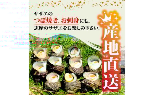 志摩産特選サザエ1ｋｇ入り 三重 志摩 伊勢志摩 新鮮 海鮮 海産物 魚介 魚貝 サザエ 貝 刺身 お造り つぼ焼き グリル BBQ バーベキュー キャンプ 夏