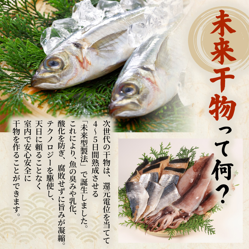 未来干物 おまかせ3種セット 合計6パック 干物 ひもの 冷凍 おまかせ お楽しみ 朝食 夕食 お惣菜 おかず 骨なし 簡単調理 三重県 志摩市 伊勢 志摩 10000円 1万円 一万円