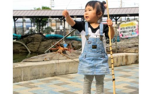 【010-83】磯体験施設海ほおずき　体験利用引換券*