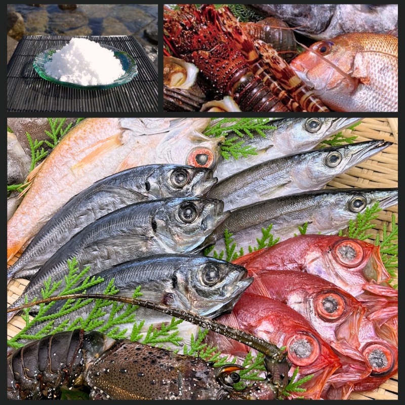 干物 5種 旬 おまかせ おたのしみ お楽しみ 産地直送 ひもの セット 干物セット 人気 詰め合わせ おかず お取り寄せ 朝食 ご飯 や 米 に合う 老舗 角助屋 伊勢 志摩市 三重県 15000円 1万5000円 一万五千円 / 干物職人が選ぶ朝獲れ魚の干物 五種セット