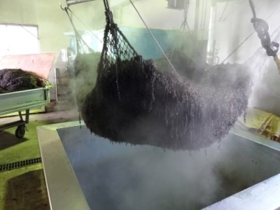 ひじき ご飯 セット 小分け ふりかけ かつお しそ ちりめん 3種類 伊勢 志摩 三重県 国産