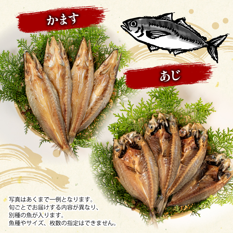 大王崎・天日干し干物セット 伊勢 志摩 干物 ひもの 天日干し セット 国産 詰め合わせ 詰合せ 魚 魚介類 海鮮 旬 3～4種 冷凍 産地直送 朝食 三重県 10000円 一万円