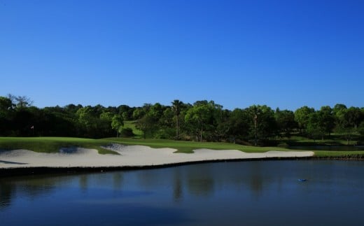 NEMU GOLF CLUB 平日 ペア ゴルフ プレー券 プレーチケット ペア チケット 利用券 伊勢志摩 伊勢 志摩 三重 ゴルフコース ゴルフボール ゴルフクラブ スポーツ アウトドア ゴルフグッズ 平日限定 6万円 60000円 六万円 GOLF 観光 旅行 体験