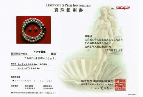 老舗の真珠専門店・高品質アコヤ真珠ネックレスセット8.0～8.5ミリ（イヤリングセット） / あこや 真珠 伊勢志摩 ギフト パール 母の日 結婚 記念 入学式 卒業式 冠婚葬祭 〔600-08〕