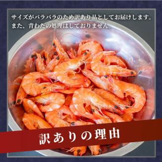 訳あり 有頭ボイルバナメイエビ 500g × 3 (約1.5kg) 有頭えび 加熱済 えび エビ 海老 バナメイエビ バナメイ 人気 冷凍 便利 魚介 海鮮 〔010-143〕