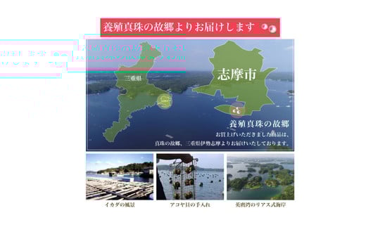 真珠 ピアス アクセサリー パール 3.5ミリ ～ 4ミリ Pt900 プラチナ 三重県 伊勢志摩 志摩 アクセサリー ギフト プレゼント お祝い 母の日 入学式 卒業式 結婚式 冠婚葬祭 成人祝い 結婚祝い / 老舗の真珠専門店・アコヤベビーパールピアス 3.5-4.0ミリ ( Pt900 )