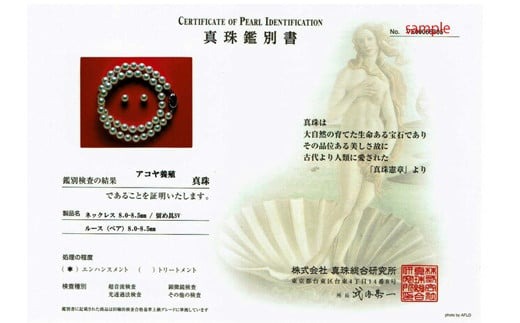 【大珠】 アコヤ真珠 8 ～ 8.5mm ネックレス ピアス セット Pt900 プラチナ 真珠 アクセサリー パール 母の日 入学式 卒業式 結婚式 冠婚葬祭 誕生石 フォーマル ジュエリー / 老舗の真珠専門店・高品質アコヤ真珠ネックレスセット 8.0～8.5ミリ (ピアスセット)