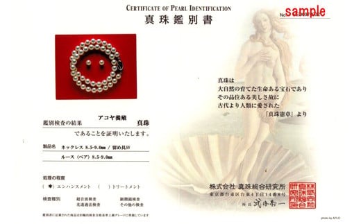 真珠 アクセサリー ネックレス ピアス イヤリング セット パール Pt900 ジュエリー 人気 三重県 伊勢志摩 伊勢 志摩 志摩市 冠婚葬祭 結婚式 お葬式 / 老舗の真珠専門店・高品質アコヤ真珠ネックレスセット8.5～9.0ミリ（ピアスセット）