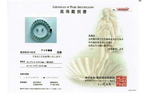 真珠 ネックレス 8.0 ～ 8.5 mm 42.5cm あこや ブルーグレー 三重県 伊勢志摩 志摩市 アクセサリー ジュエリー おしゃれ 高品質 フォーマル ギフト パール 母の日 記念 冠婚葬祭 / 老舗の真珠専門店・高品質アコヤ真珠ブルーネックレスセット8.0～8.5mm（ピアスセット）