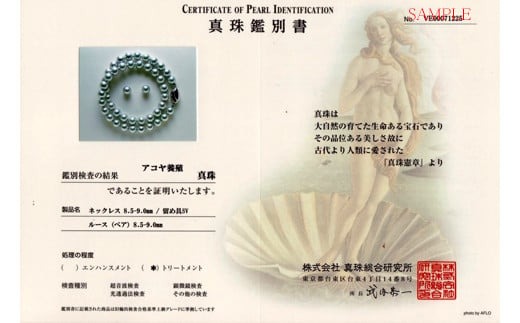 真珠 8.5 ～ 9.0 ｍｍ ネックレス ピアス セット ブルーグレー あこや パール 本真珠 三重県 伊勢 志摩市 アクセサリー ジュエリー ファッション おしゃれ フォーマル プレセント ギフト パール 母の日 記念 冠婚葬祭 / 老舗の真珠専門店・高品質アコヤ真珠ブルーネックレスセット8.5～9.0ｍｍ（ピアスセット）
