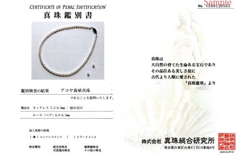 真珠 ネックレス ピアス セット Pt900 パール 5.5ミリ ～ 6ミリ アクセサリー ジュエリー 三重県 伊勢志摩 志摩市 アコヤ貝 冠婚葬祭 結婚式 葬式 フォーマル / 老舗の真珠専門店・高品質アコヤ真珠ネックレス・ピアスセット5.5～6.0ミリ