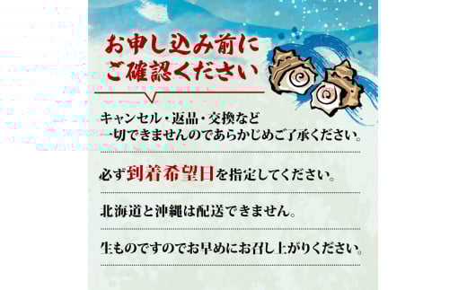 志摩産特選サザエ1ｋｇ入り 三重 志摩 伊勢志摩 新鮮 海鮮 海産物 魚介 魚貝 サザエ 貝 刺身 お造り つぼ焼き グリル BBQ バーベキュー キャンプ 夏