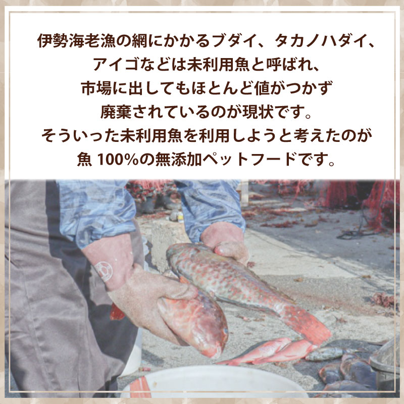 無添加ペットフード / ペット 無添加 犬 猫 ペットフード キャットフード ドッグフード おやつ ふりかけ 手作り 詰め合わせ セット 健康 高タンパク 小型犬 中型犬 大型犬 シニア ご褒美 未利用魚 魚 SDGs 乾燥 粉末