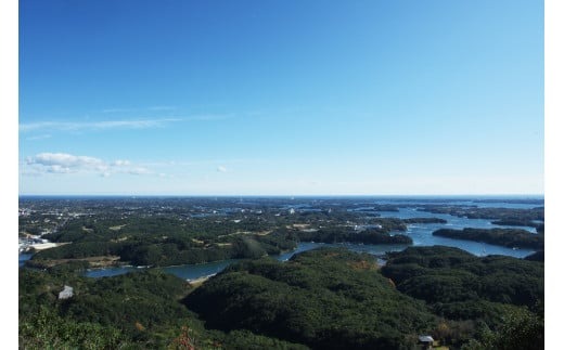 ミニリアスバウムクーヘン / バームクーヘン バウムクーヘン お菓子 スイーツ 焼き菓子 おやつ デザート 洋菓子 お取り寄せ 人気 ギフト プレゼント お祝い 結婚祝い 内祝い 伊勢 志摩 三重県 8000円 8千円 八千円