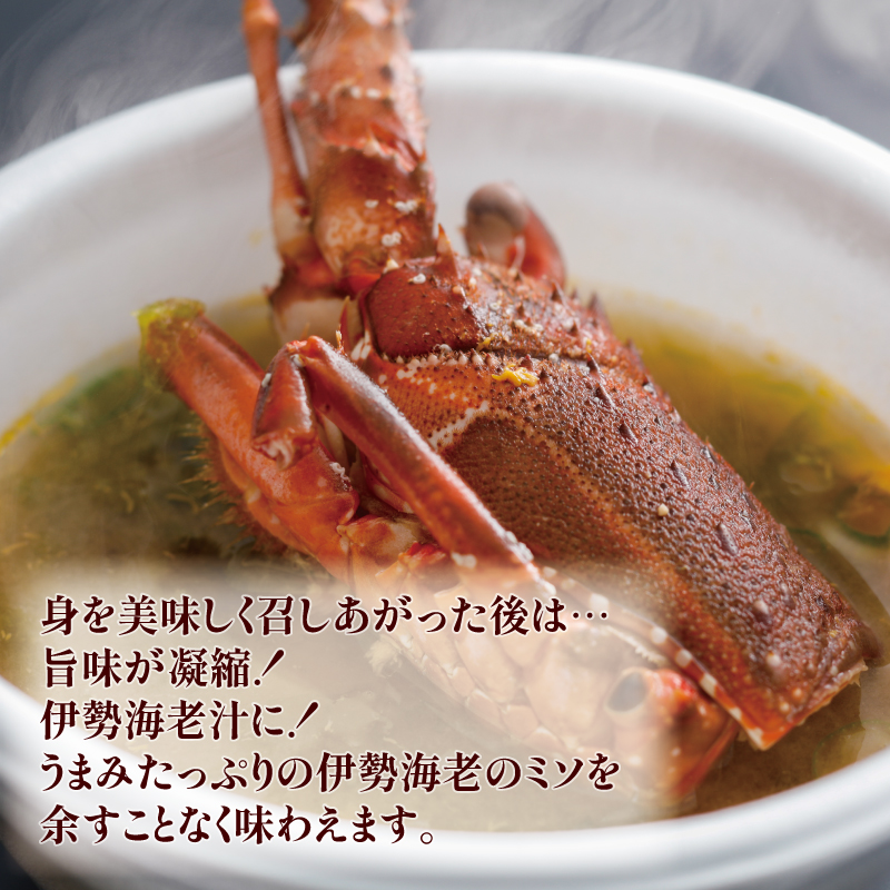 伊勢海老 500g 2尾 ～ 3尾 冷凍 / 伊勢志摩 伊勢 志摩 三重 伊勢えび 伊勢エビ 新鮮 えび エビ 三重ブランド認定 高級食材 贈答 贈答品 お歳暮 お正月 年末年始 お造り 海鮮 魚介類 旨味 鮮魚 名産 ギフト いせ しま BBQ パーティー 焼き物 お味噌汁 鍋 ボイル 三万円 3万円 30000円