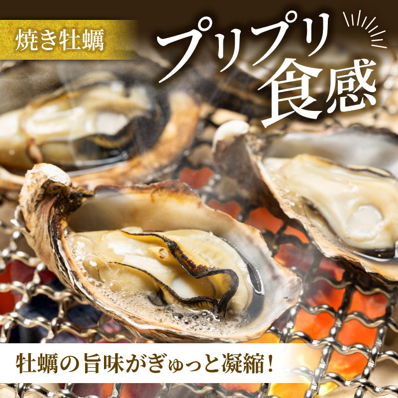 牡蠣 殻付き 12個入 的矢かき 生食用 カキ かき 的矢牡蠣 的矢 牡蠣 養殖 的矢湾 生食 ブランド 伊勢志摩 伊勢 志摩 新鮮 養殖場 直送 年末年始 お正月 お歳暮 贈答 いせ しま まとや 濃厚 貝 魚貝類 新鮮 旨味 いかだ荘 1万円 10000円 一万円 伊勢志摩プレミアムオイスター
