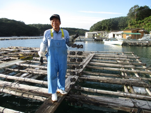 真珠の里　大珠アコヤ真珠8.5-9ｍｍ　スルーネックレス / 18金 ネックレス ペンダント 真珠 伊勢志摩 アクセサリー パール 母の日 ホワイトデー 入学式 卒業式 冠婚葬祭