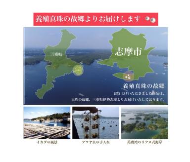 老舗の真珠専門店・高品質アコヤ真珠ブルーネックレスセット7.5～8.0ミリ（イヤリングセット） / あこや ネックレス 真珠 伊勢志摩 志摩 ギフト パール 母の日 記念 冠婚葬祭 〔500-17〕