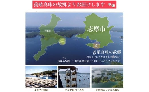 真珠 アクセサリー ネックレス ペンダント パール 8.5ミリ ～ 9ミリ K18 ゴールド 三重県 伊勢志摩 志摩 ジュエリー ギフト プレゼント 冠婚葬祭 入学式 卒業式 結婚式 母の日 バレンタイン ホワイトデー アコヤ真珠 本真珠 / 老舗の真珠専門店・花珠クラス・アコヤ本真珠スルーペンダント