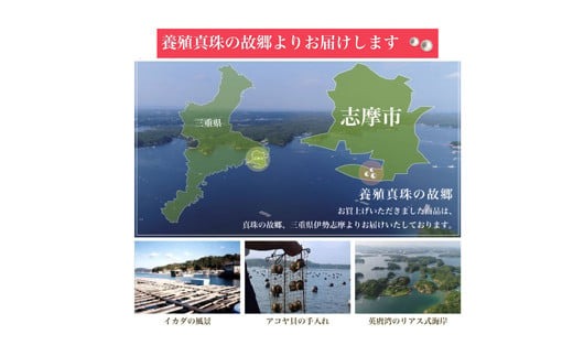 真珠 ネックレス ピアス セット 7.5～8.0ミリ ブルーグレー あこや パール 三重県 伊勢志摩 志摩市 アクセサリー ジュエリー おしゃれ ファッション フォーマル ギフト プレゼント パール 母の日 記念 冠婚葬祭 / 老舗の真珠専門店・高品質アコヤ真珠ブルーネックレスセット7.5～8.0ミリ（ピアスセット）