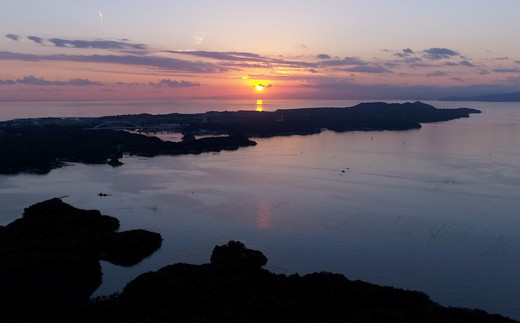 華やかな！ あこや真珠ブローチ / 伊勢志摩 伊勢 志摩 英虞湾 真珠 アコヤ真珠 本真珠 パール ブローチ アクセサリー ギフト プレゼント クリスマス バレンタイン ファッション カジュアル 誕生石 記念日 国産 小物