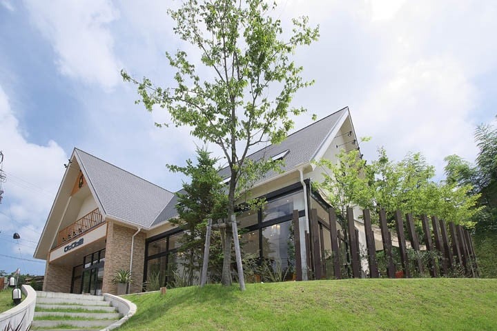 バウムクーヘン「まさ樹」 1箱 / バームクーヘン バウムクーヘン お菓子 スイーツ 焼き菓子 おやつ デザート 洋菓子 お取り寄せ 人気 ギフト プレゼント お祝い 結婚祝い 内祝い 伊勢 志摩 三重県 6000円 6千円 六千円