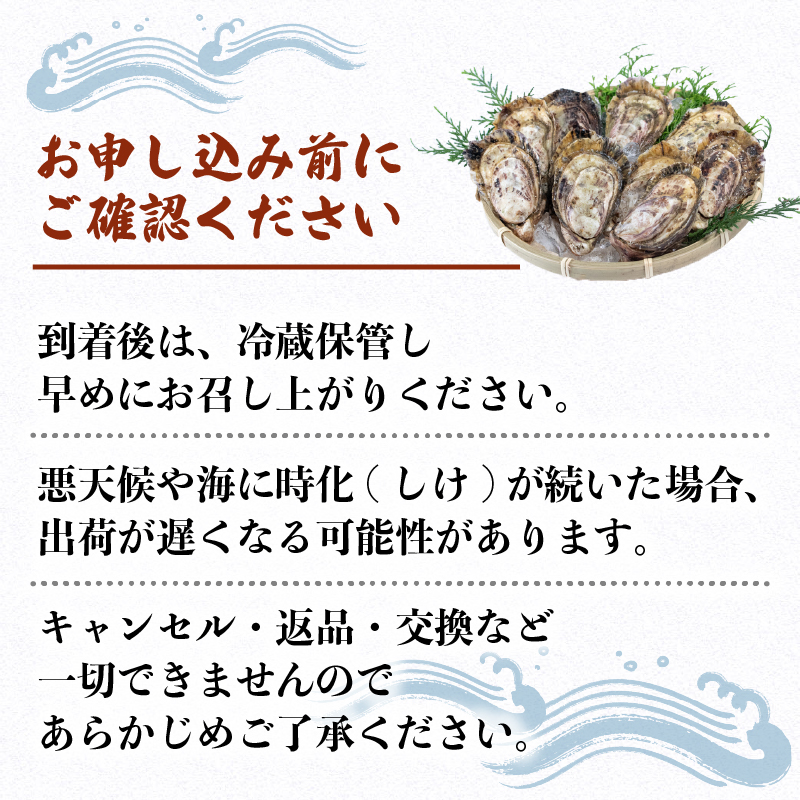 英虞湾産 シングルシードオイスター 「アマテラス」25個 ／ 牡蠣 カキ 生牡蠣 オイスター