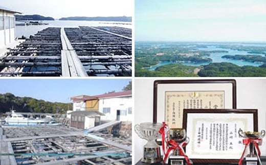 真珠屋さん 誰もが可愛く！アコヤ真珠 リング【フリーサイズ】（K18PG） / 18金 アクセサリー ジュエリー 真珠 指輪 三重 伊勢 志摩 パール 本真珠 あこや しんじゅ アコヤ貝 保証書 ポーチ ギフト 贈り物 贈答 贈答用 プレゼント 普段使い 人気 冠婚葬祭 結婚式 誕生日 記念日 慶事